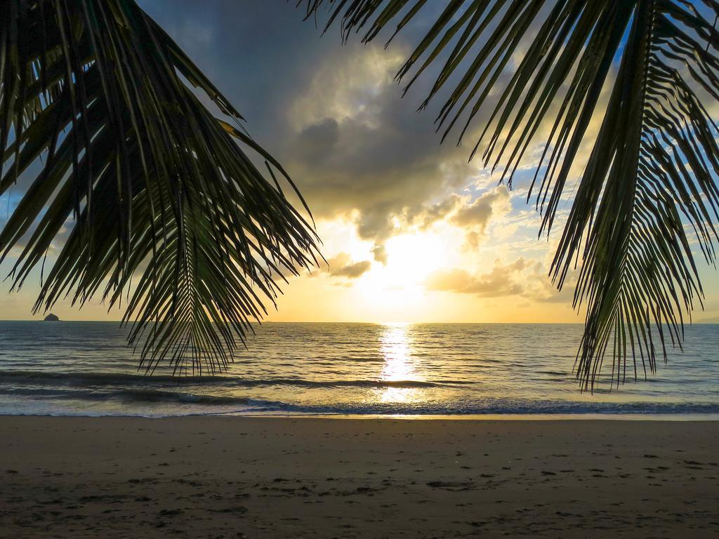 Marlin Waters Beachfront Apartments Palm Cove Chambre photo