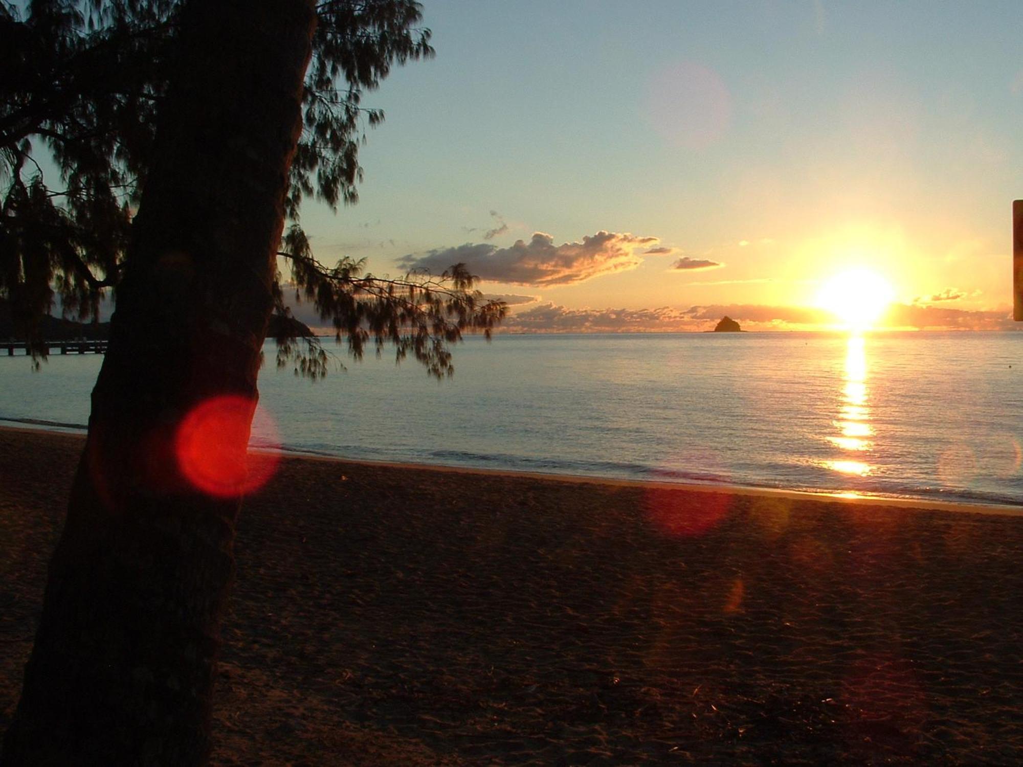 Marlin Waters Beachfront Apartments Palm Cove Extérieur photo