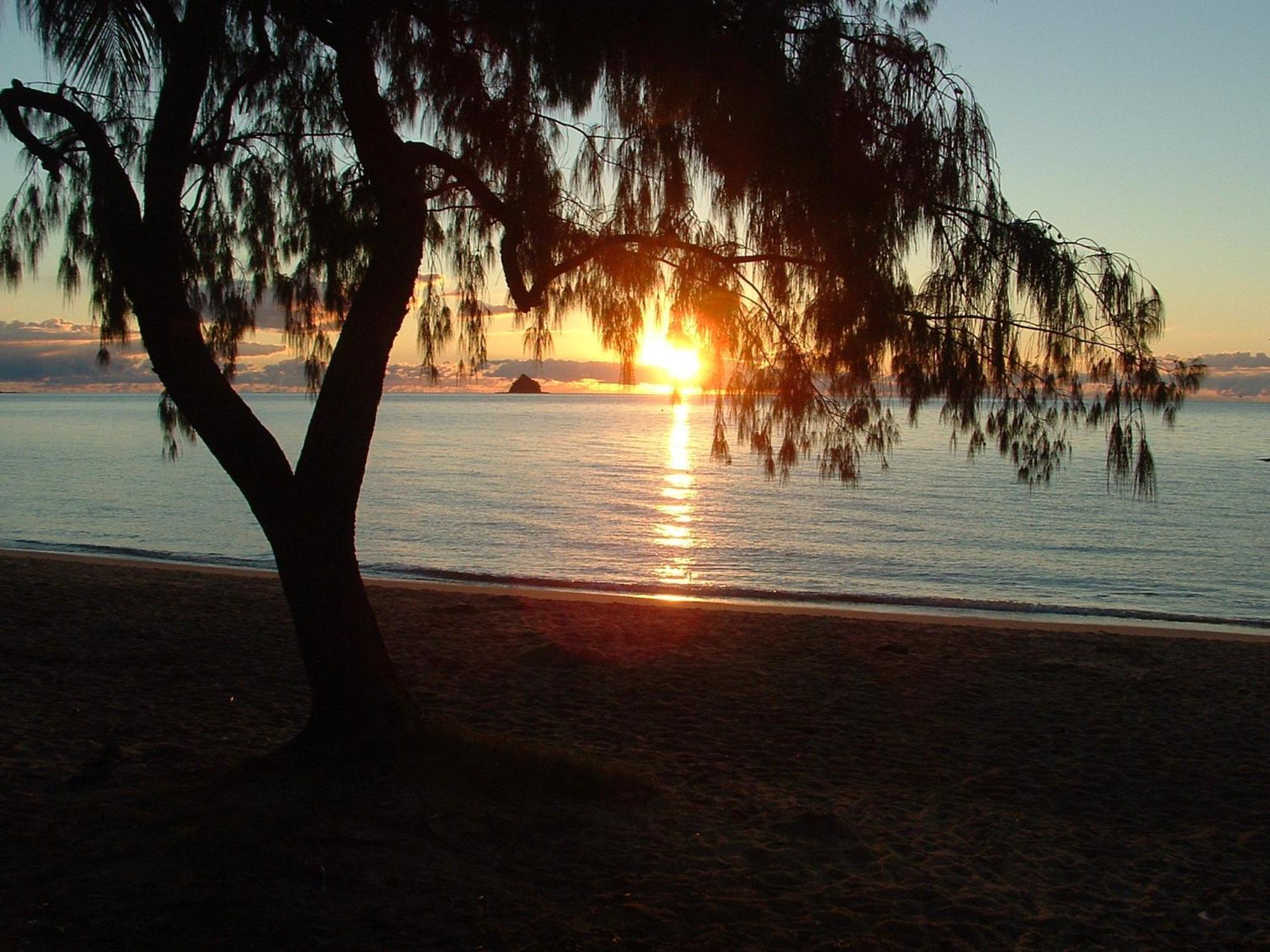 Marlin Waters Beachfront Apartments Palm Cove Extérieur photo