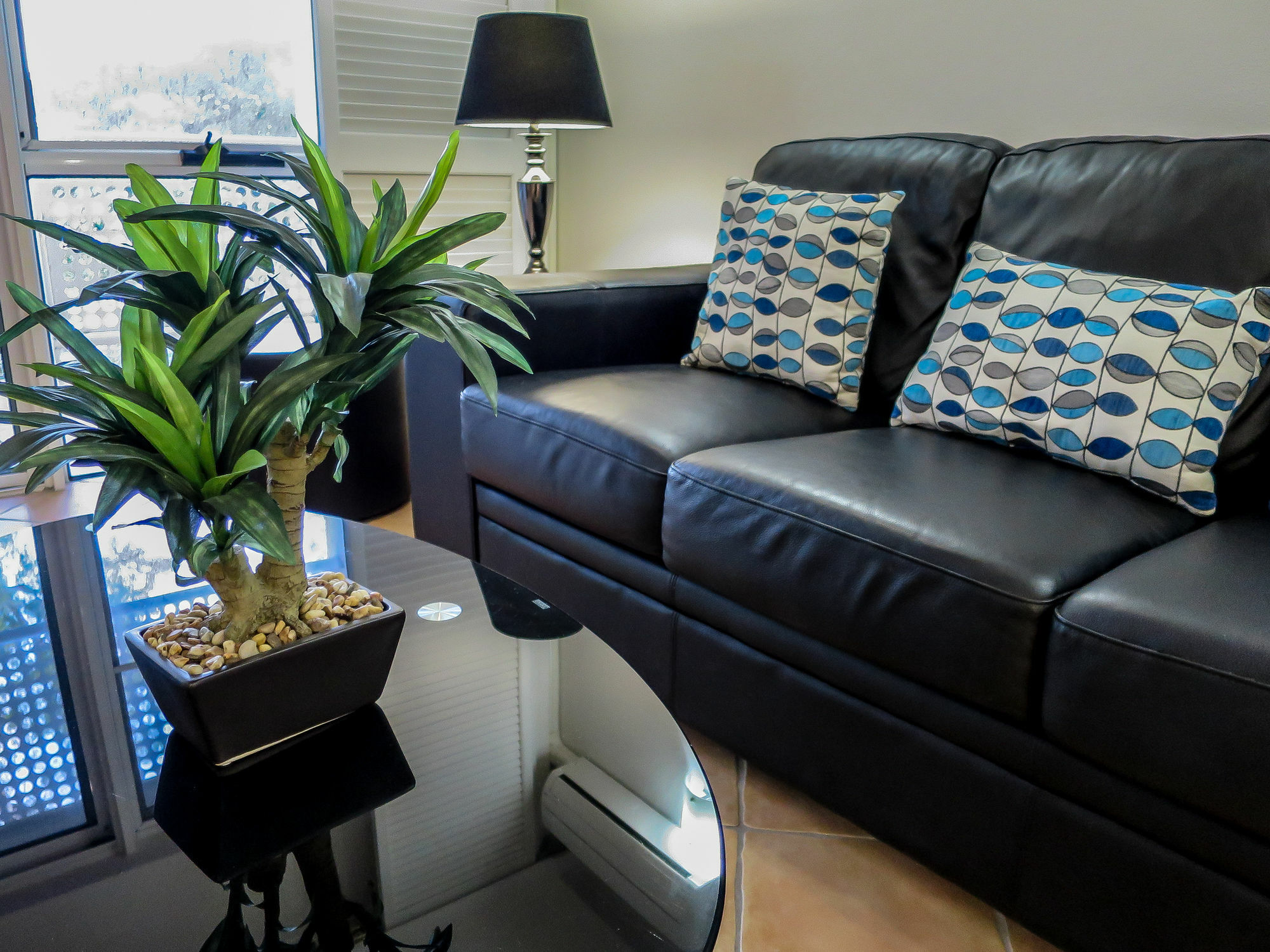 Marlin Waters Beachfront Apartments Palm Cove Extérieur photo