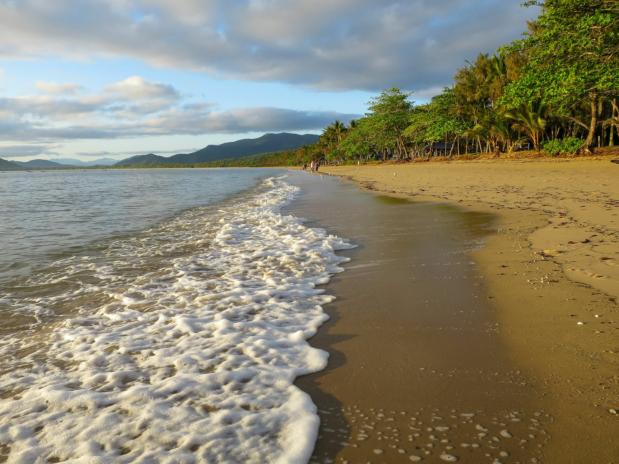 Marlin Waters Beachfront Apartments Palm Cove Extérieur photo