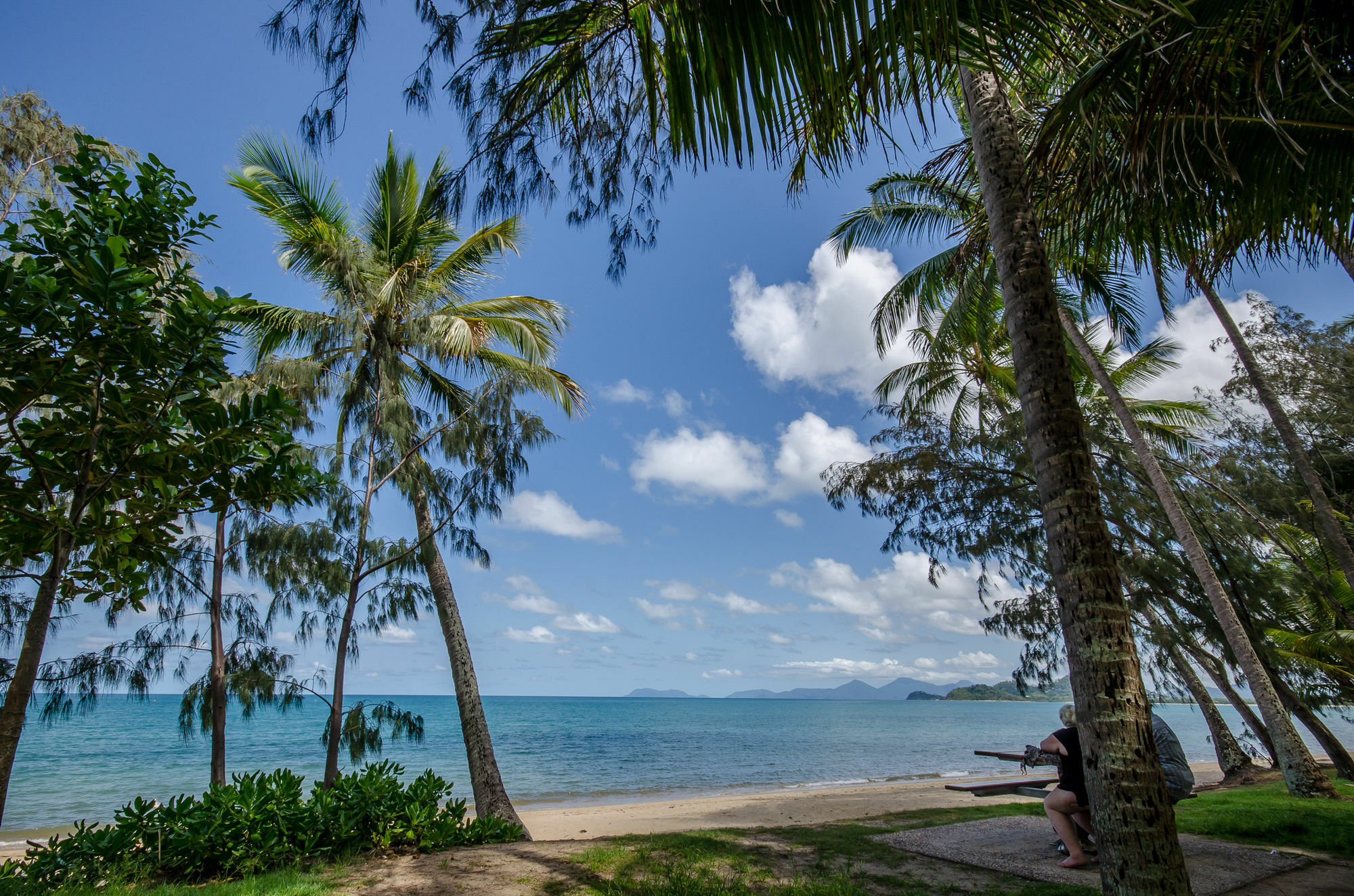 Marlin Waters Beachfront Apartments Palm Cove Extérieur photo