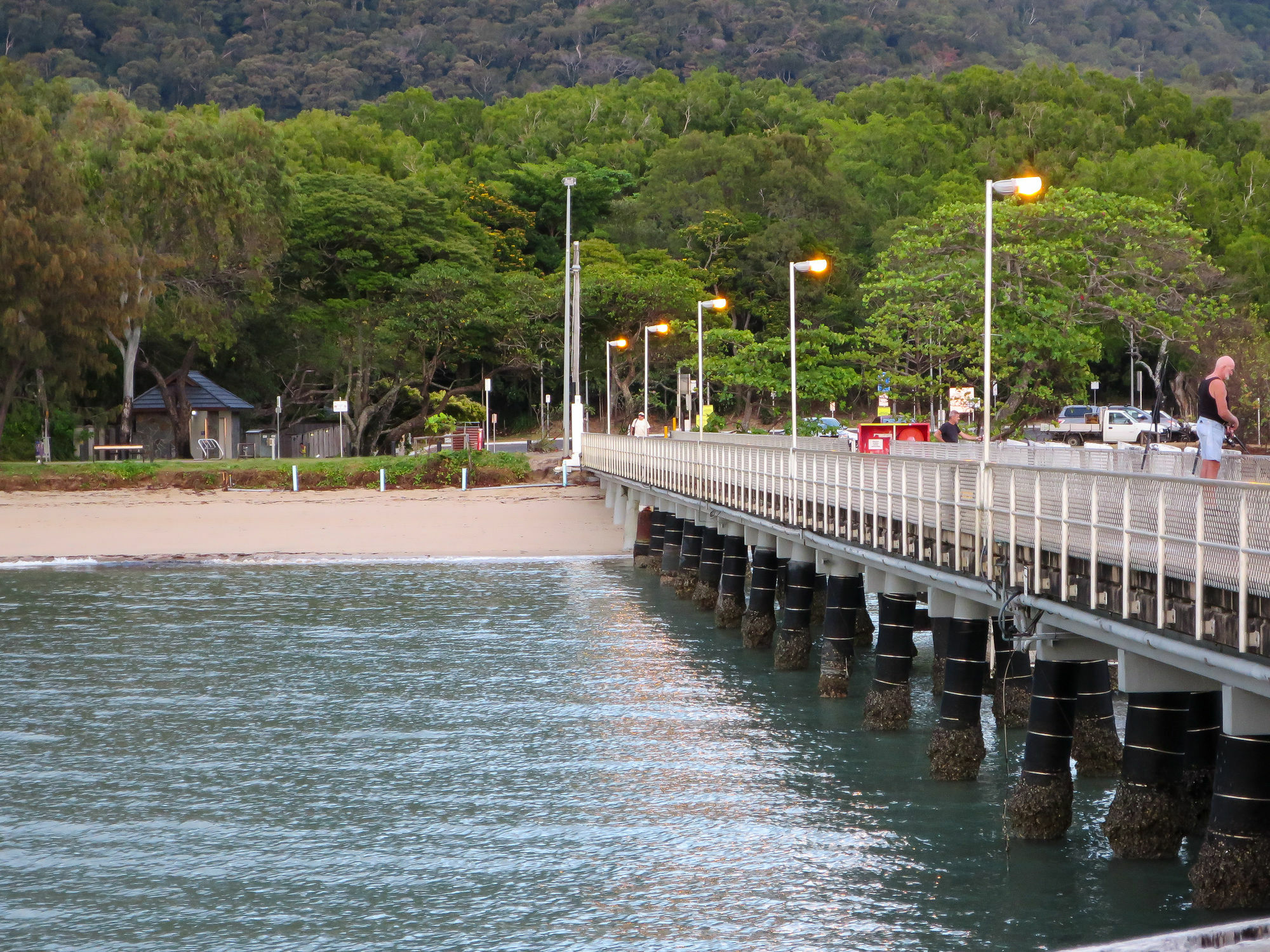 Marlin Waters Beachfront Apartments Palm Cove Extérieur photo